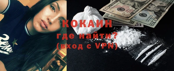 дурь Бородино